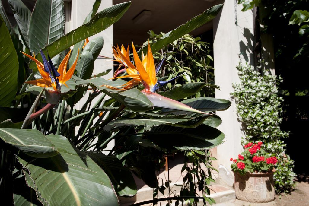 Hotel Stella 3*