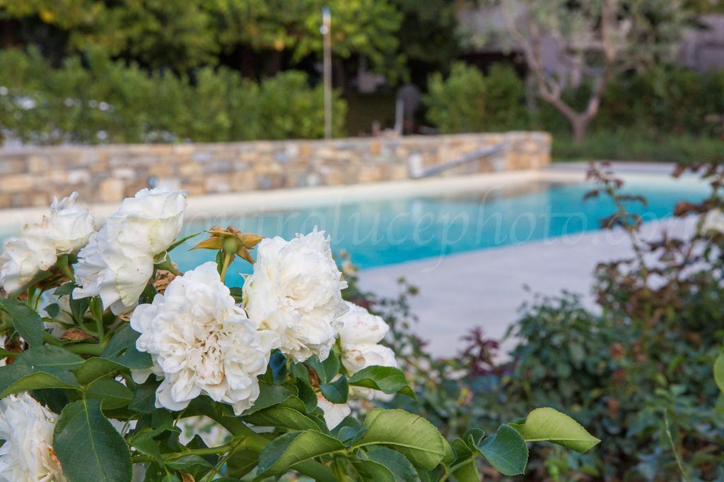 Stella Hotel Casciana Terme